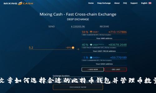 文章如何选择合适的比特币钱包并管理币数量