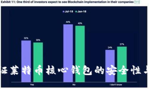 如何验证莱特币核心钱包的安全性与功能性