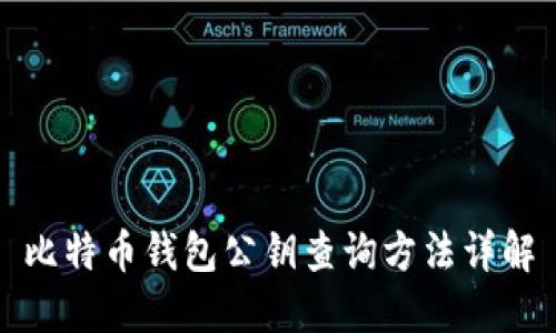 比特币钱包公钥查询方法详解