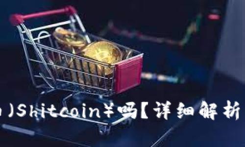 TP支持屎币（Shitcoin）吗？详细解析与使用指南