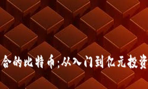 如何选择适合的比特币：从入门到亿元投资的全面指南