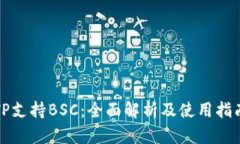 TP支持BSC：全面解析及使用指南