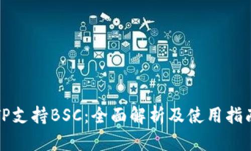 TP支持BSC：全面解析及使用指南